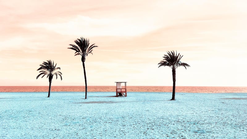 Tropical Paradise